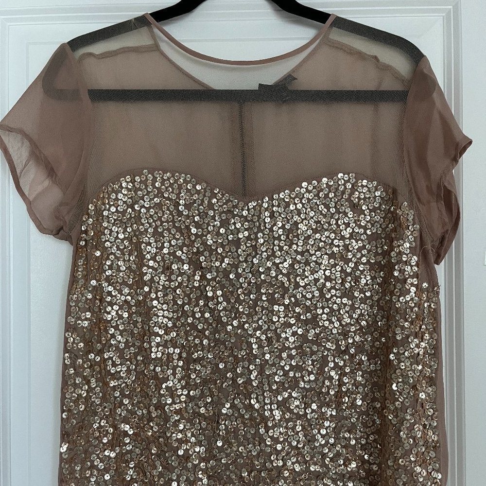 Topshop Sequin Semi Sheer Top Sz 6